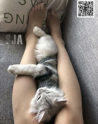 露性器的三级欧美电影_全集高清百度云未删减2020